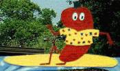 chili pepper mascot